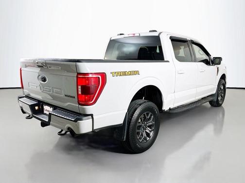 Avalanche 2023 Ford F-150 Tremor