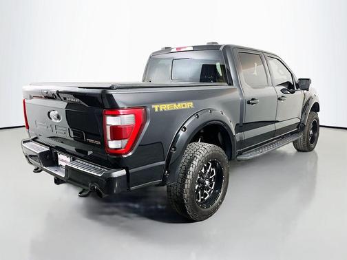 Agate Black Metallic 2023 Ford F-150 Tremor