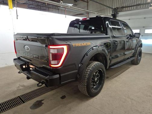 Agate Black Metallic 2023 Ford F-150 Tremor