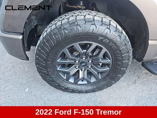 Stone Gray Metallic 2022 Ford F-150 Tremor