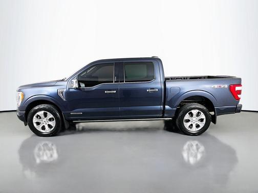 Carbonized Gray Metallic 2021 Ford F-150 Platinum