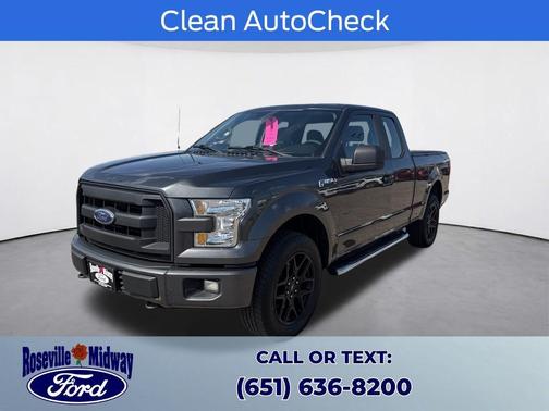 Magnetic 2016 Ford F-150 XL