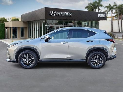 2022 Lexus NX 350 350 Base