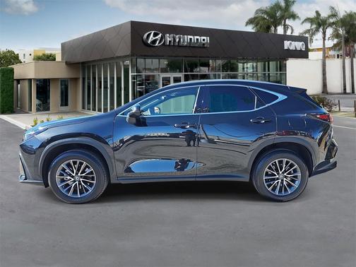 2022 Lexus NX 350 Premium