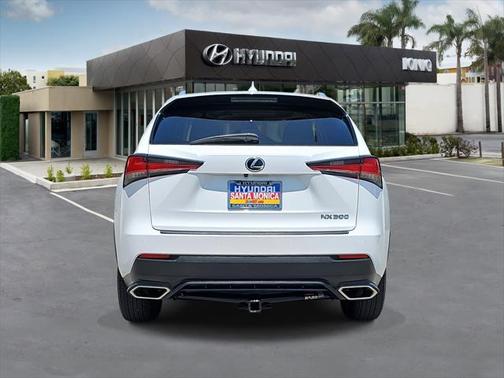 2019 Lexus NX 300 F Sport