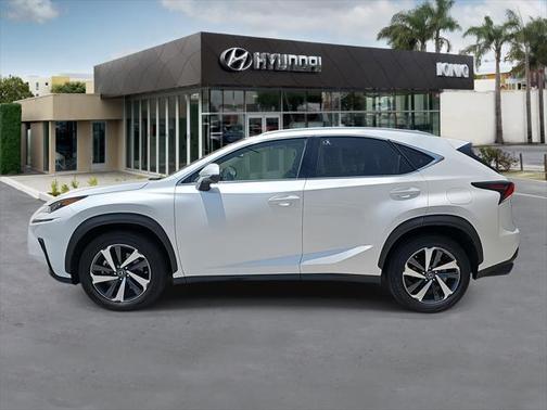 2019 Lexus NX 300 F Sport