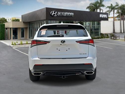 2019 Lexus NX 300 F Sport