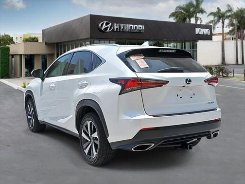2019 Lexus NX 300 F Sport