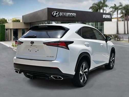 2019 Lexus NX 300 F Sport