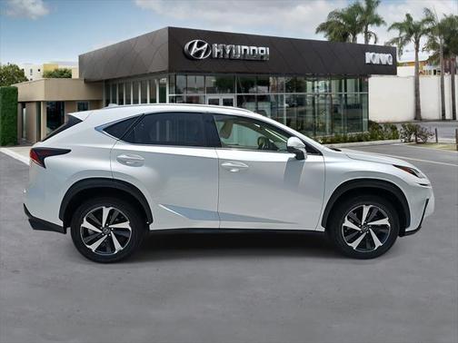 2019 Lexus NX 300 F Sport