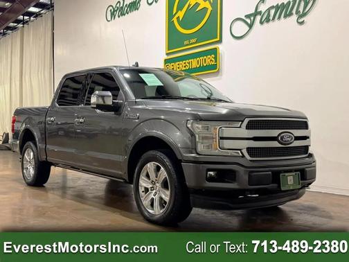 Magnetic Metallic 2019 Ford F-150 Platinum
