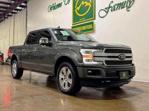 Magnetic Metallic 2019 Ford F-150 Platinum