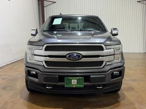 Magnetic Metallic 2019 Ford F-150 Platinum
