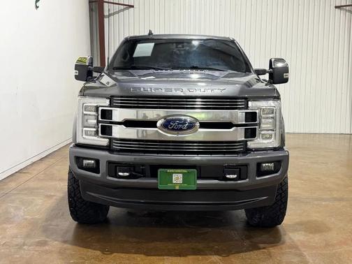 Magnetic Metallic 2019 Ford F-250 Platinum