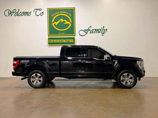 Agate Black Metallic 2021 Ford F-150 Platinum
