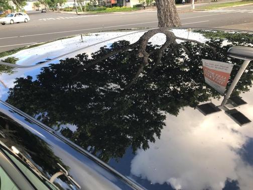 2013 Dodge Charger SRT8 for sale in Kailua, HI - image 19