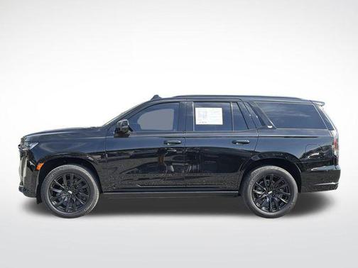 Black Raven 2024 Cadillac Escalade Sport