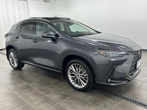 2024 Lexus NX 350 Luxury