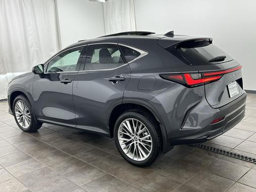 2024 Lexus NX 350 Luxury