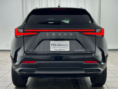 Caviar 2024 Lexus NX 250 Premium