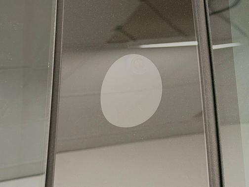 Pearl White Multi-Coat 2025 Tesla Model 3 Performance