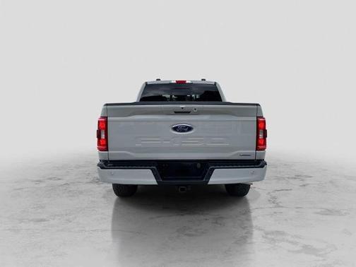 AVALANCHE 2023 Ford F-150 XLT