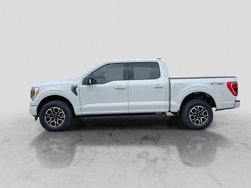 AVALANCHE 2023 Ford F-150 XLT