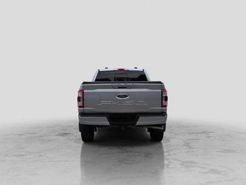 ARGENT EMBLÉMATIQUE MÉT 2023 Ford F-150 LARIAT