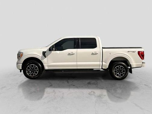 OXFORD WHITE 2023 Ford F-150 XLT