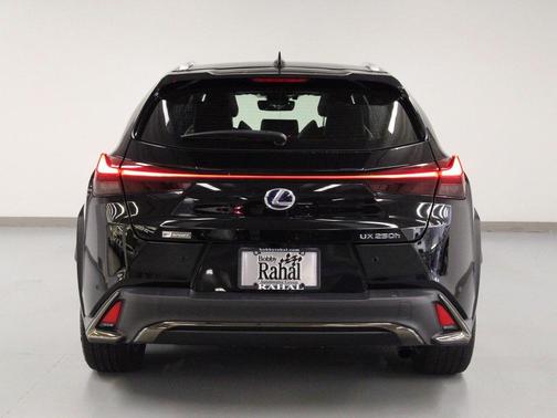 2020 Lexus UX 250h F Sport