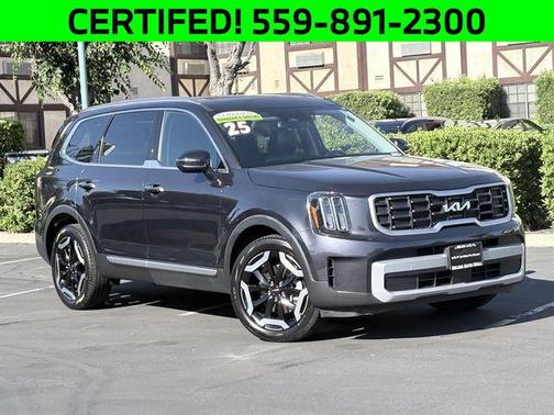 Panthera Metal 2025 Kia Telluride S