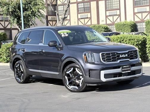 Panthera Metal 2025 Kia Telluride S