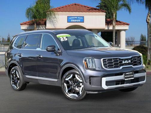 Panthera Metal 2025 Kia Telluride S