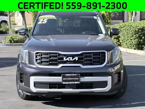 Panthera Metal 2025 Kia Telluride S