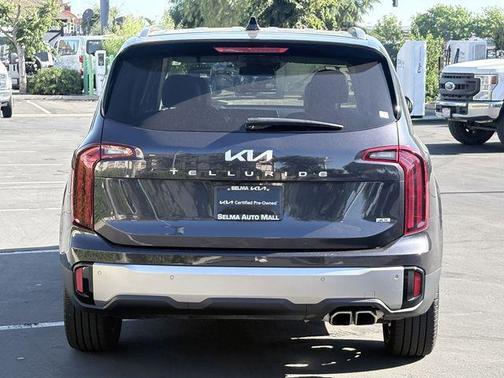 Panthera Metal 2025 Kia Telluride S