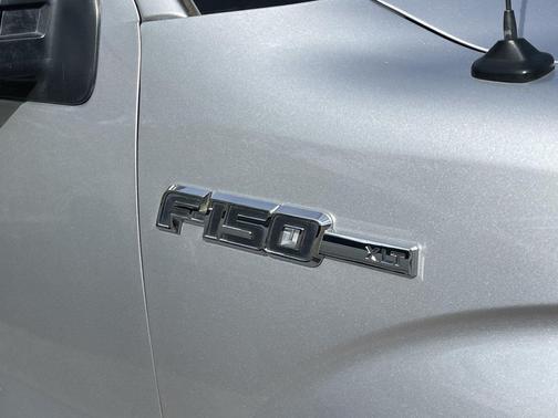 Ingot Silver 2010 Ford F-150 XL
