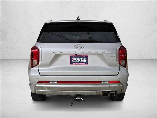 Typhoon Silver 2024 Hyundai PALISADE Calligraphy
