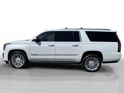 2019 Cadillac Escalade ESV Platinum