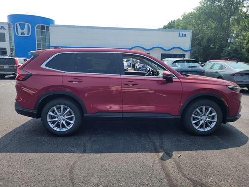 R-569mx/Radiant Re 2026 Honda CR-V EX AWD