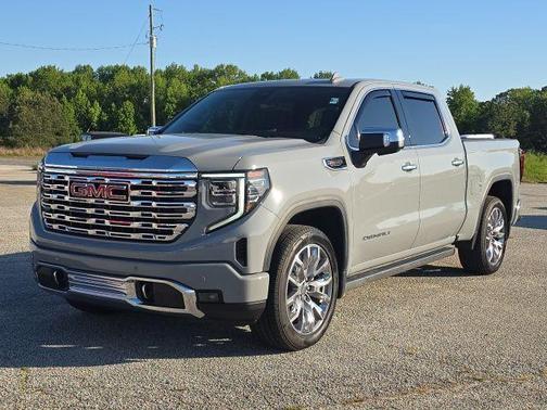 Gray 2025 GMC Sierra 1500 Denali