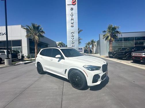 Alpine White 2023 BMW X5 sDrive40i