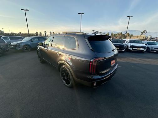 Panthera Metal 2025 Kia Telluride SX-Prestige X-Line