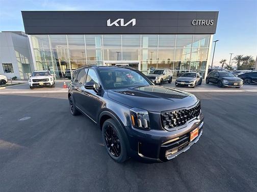 Panthera Metal 2025 Kia Telluride SX-Prestige X-Line