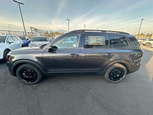 Panthera Metal 2025 Kia Telluride SX-Prestige X-Line