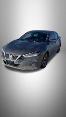 2019 Nissan Maxima 3.5 SV