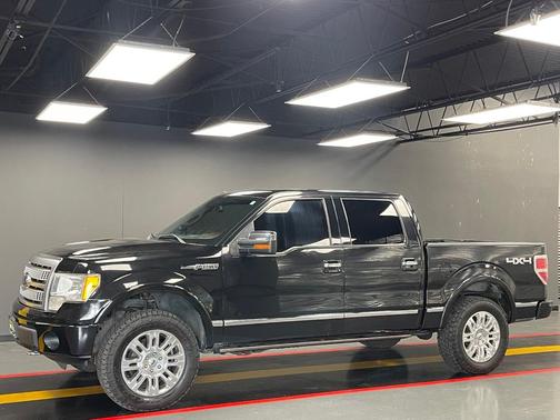 2010 Ford F-150 Platinum