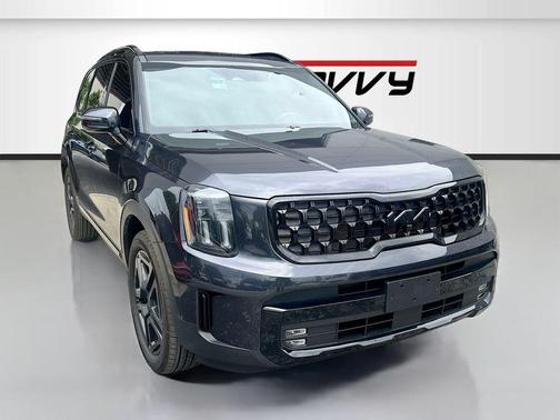Panthera Metal 2025 Kia Telluride SX X-Line