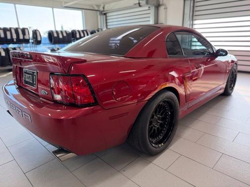 Redfire Clearcoat Metallic 2003 Ford Mustang Base