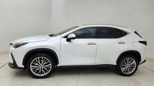 White Pearl 2025 Lexus NX 350h Premium