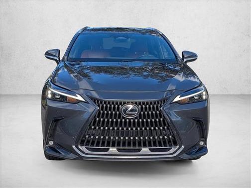 2024 Lexus NX 250 Premium